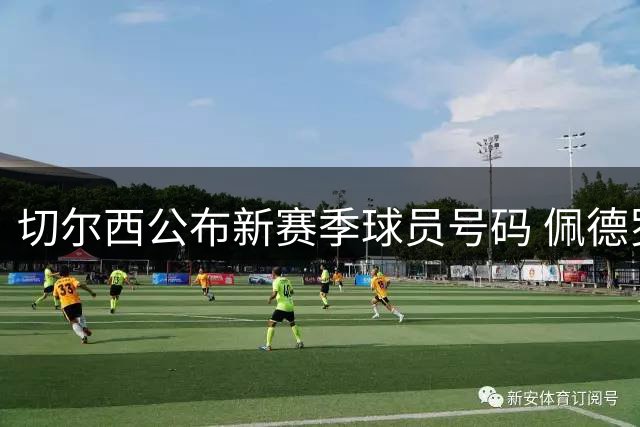 切尔西公布新赛季球员号码 佩德罗获9号恩佐穿8号